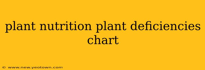 plant nutrition plant deficiencies chart