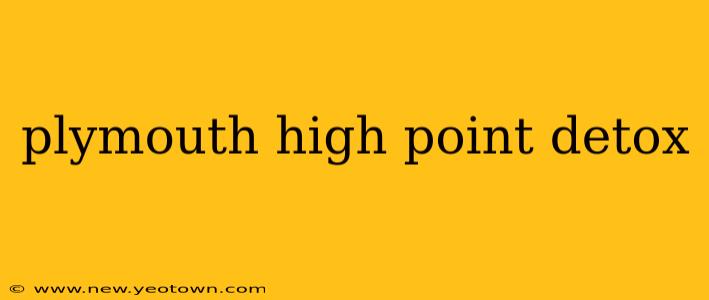 plymouth high point detox