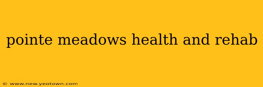 pointe meadows health and rehab