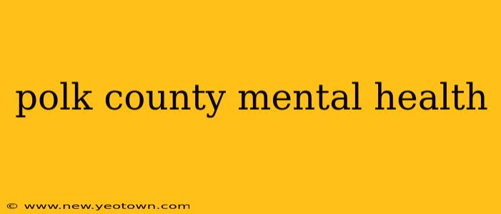 polk county mental health