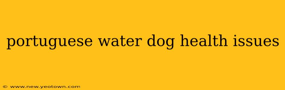 portuguese water dog health issues