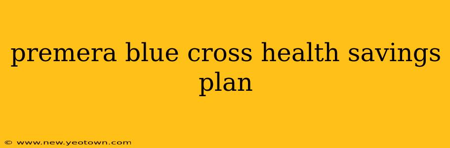 premera blue cross health savings plan