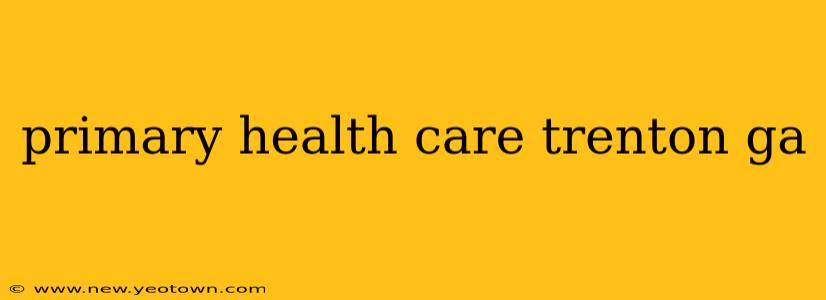 primary health care trenton ga