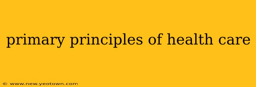 primary principles of health care