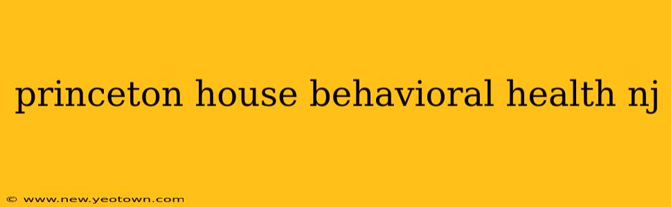 princeton house behavioral health nj