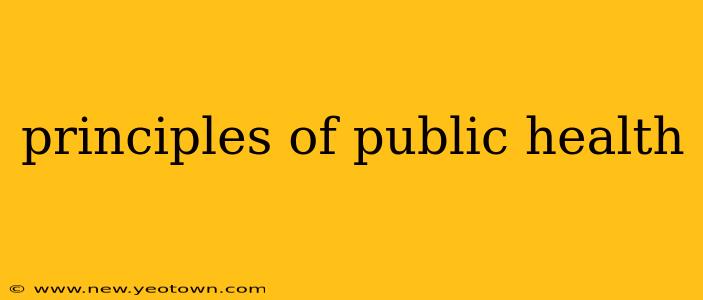principles of public health