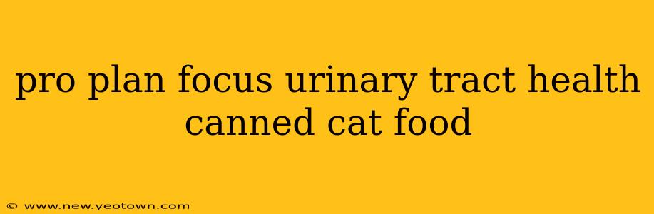 pro plan focus urinary tract health canned cat food