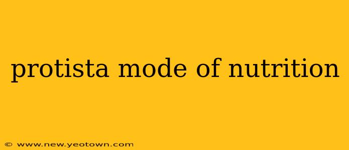protista mode of nutrition