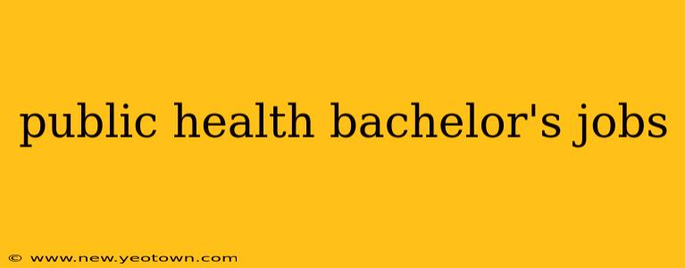 public health bachelor's jobs