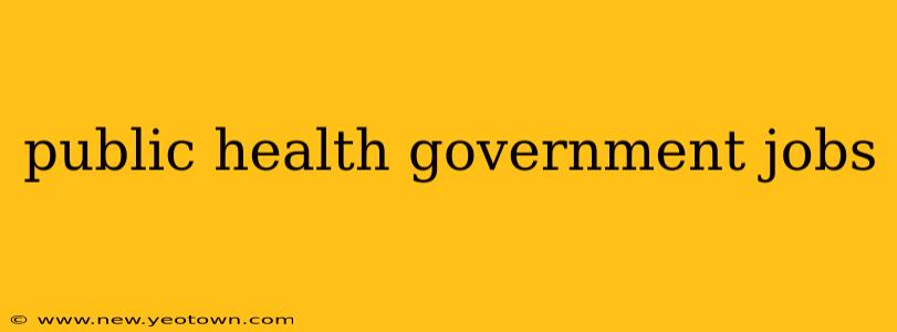 public health government jobs
