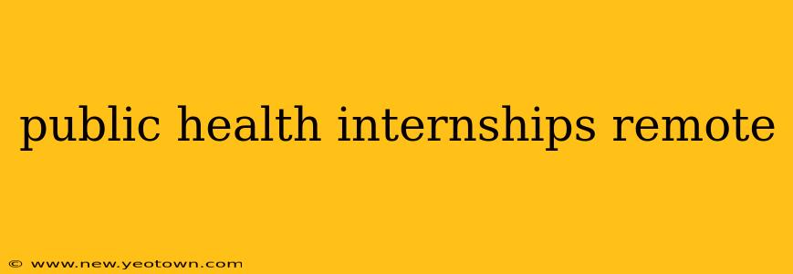 public health internships remote
