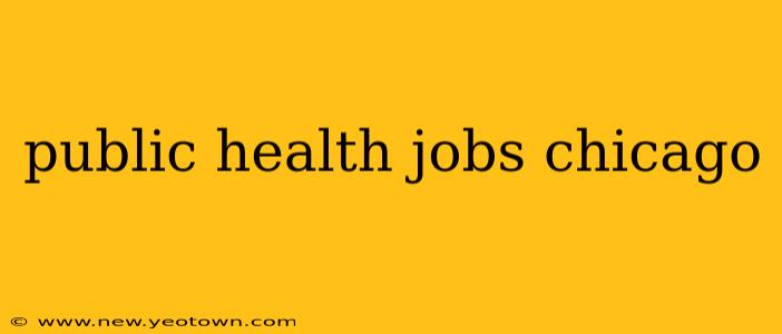 public health jobs chicago