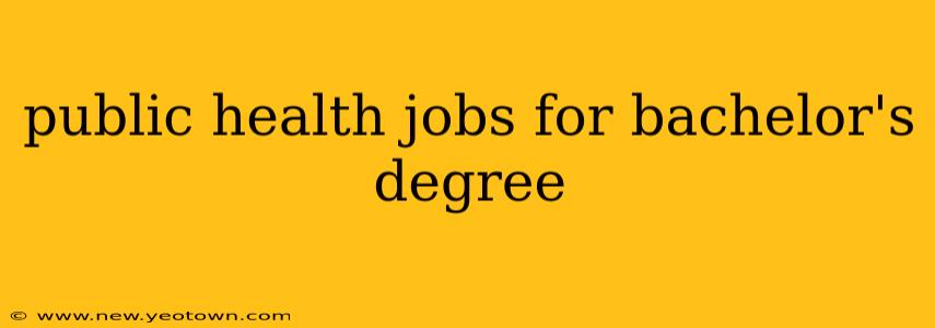 public health jobs for bachelor's degree