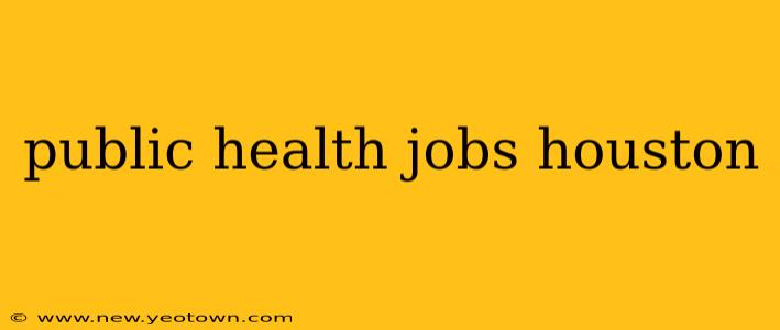 public health jobs houston