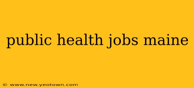 public health jobs maine