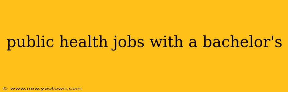 public health jobs with a bachelor's