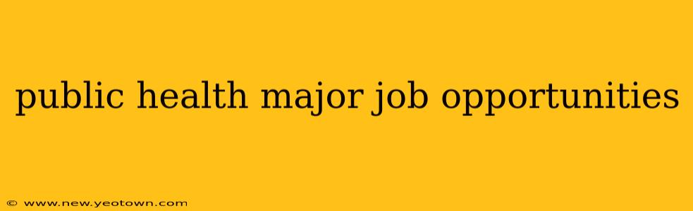public health major job opportunities