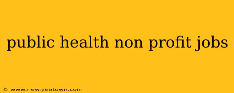 public health non profit jobs