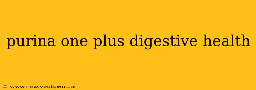 purina one plus digestive health