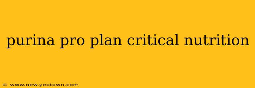 purina pro plan critical nutrition