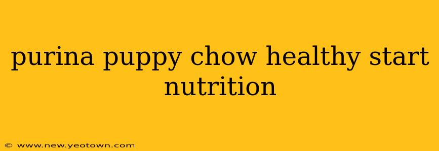 purina puppy chow healthy start nutrition