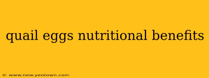 quail eggs nutritional benefits
