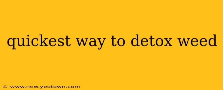 quickest way to detox weed