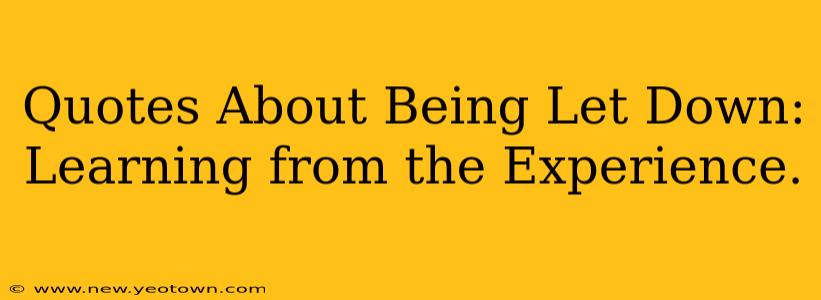Quotes About Being Let Down: Learning from the Experience.