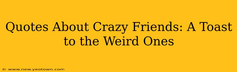 Quotes About Crazy Friends: A Toast to the Weird Ones