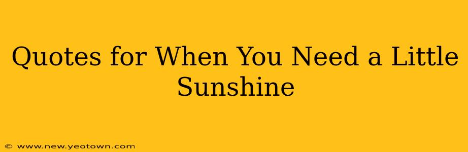 Quotes for When You Need a Little Sunshine