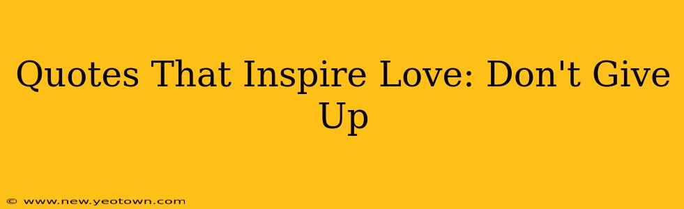 Quotes That Inspire Love: Don't Give Up