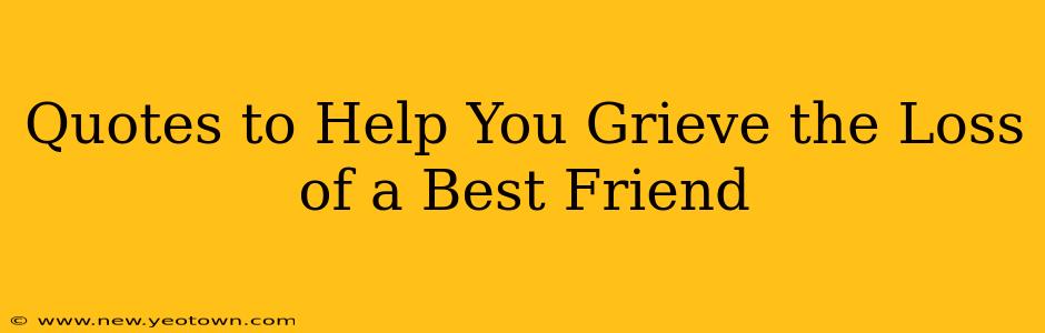 Quotes to Help You Grieve the Loss of a Best Friend