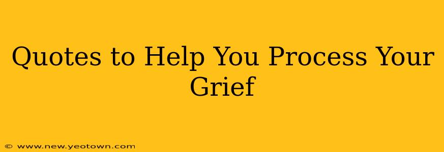 Quotes to Help You Process Your Grief