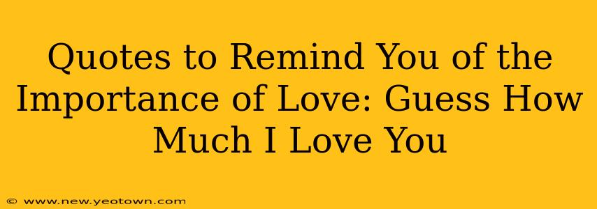 Quotes to Remind You of the Importance of Love: Guess How Much I Love You