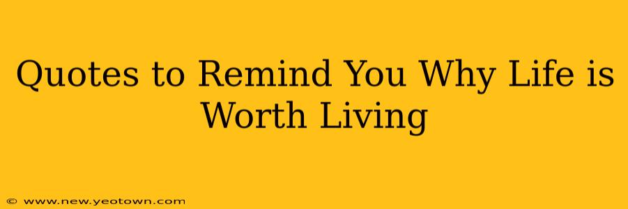 Quotes to Remind You Why Life is Worth Living