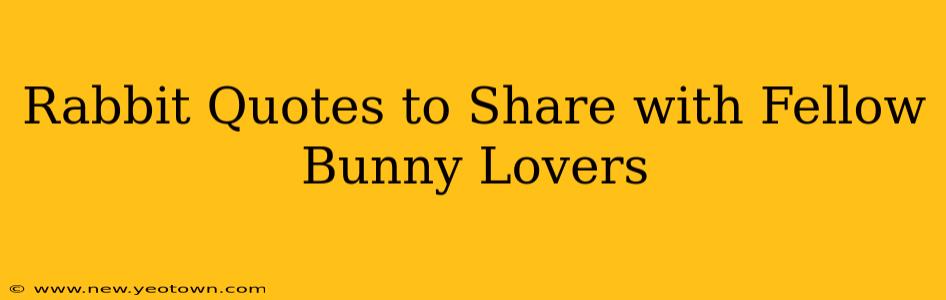 Rabbit Quotes to Share with Fellow Bunny Lovers