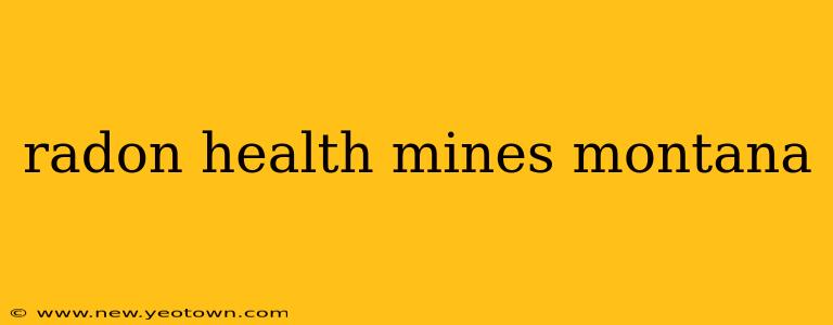 radon health mines montana