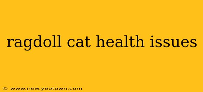 ragdoll cat health issues