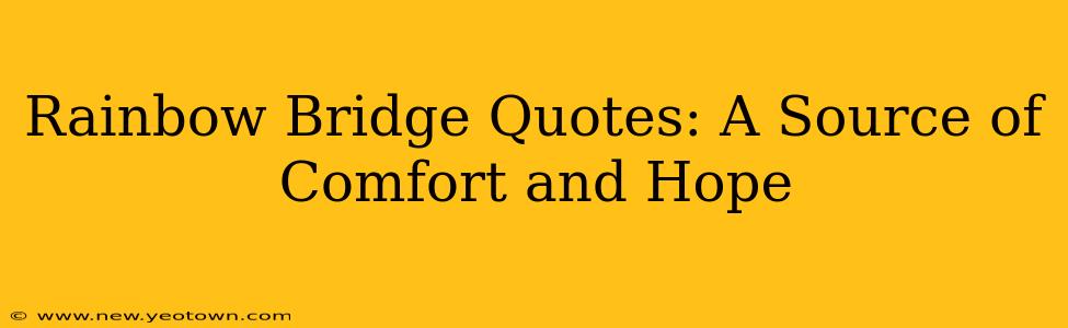 Rainbow Bridge Quotes: A Source of Comfort and Hope