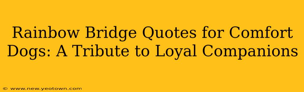 Rainbow Bridge Quotes for Comfort Dogs: A Tribute to Loyal Companions