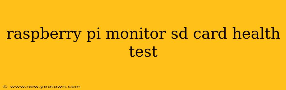 raspberry pi monitor sd card health test