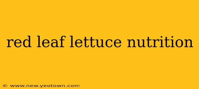 red leaf lettuce nutrition