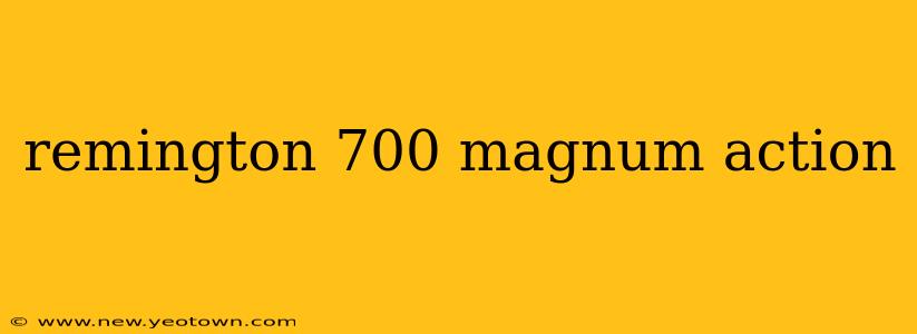 remington 700 magnum action