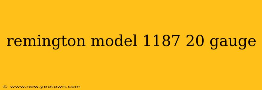 remington model 1187 20 gauge