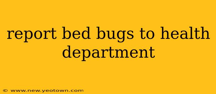 report bed bugs to health department