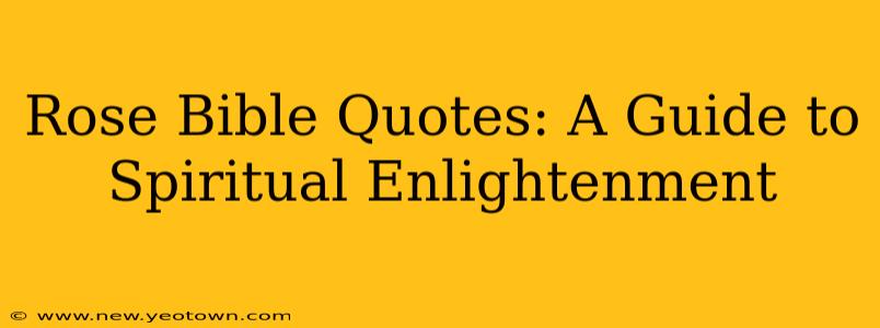 Rose Bible Quotes: A Guide to Spiritual Enlightenment