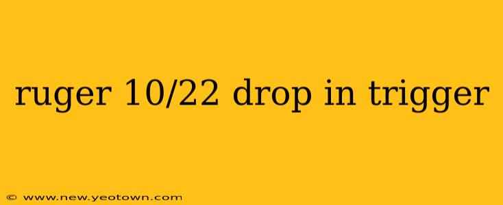 ruger 10/22 drop in trigger