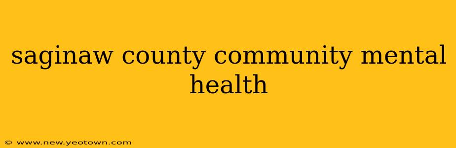 saginaw county community mental health