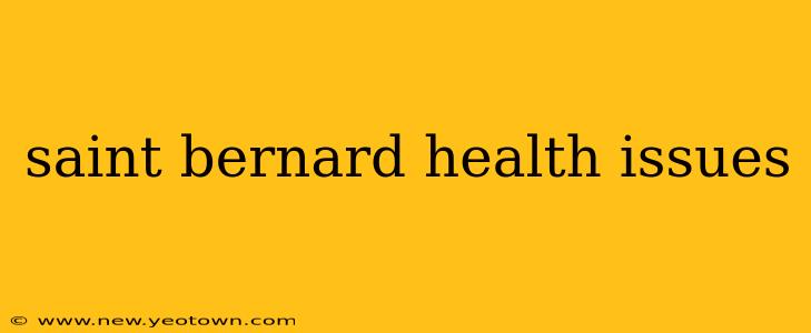 saint bernard health issues