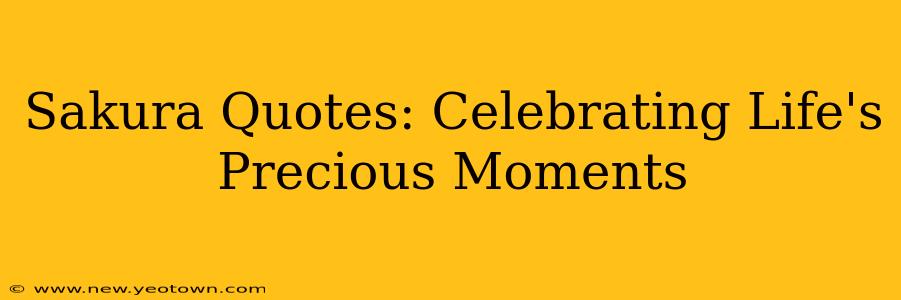 Sakura Quotes: Celebrating Life's Precious Moments